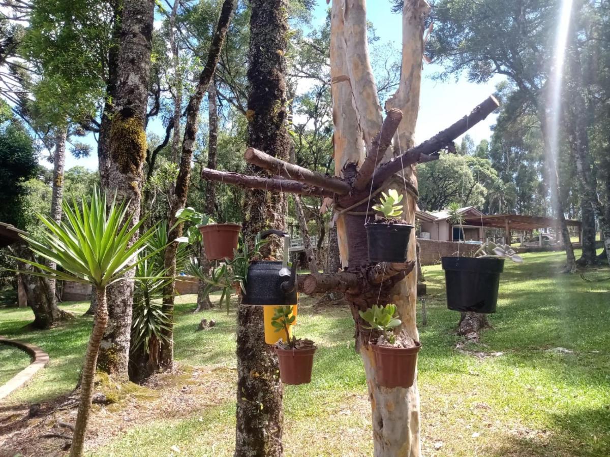 Cabana Romance - Recanto Da Natureza Canela Exterior foto